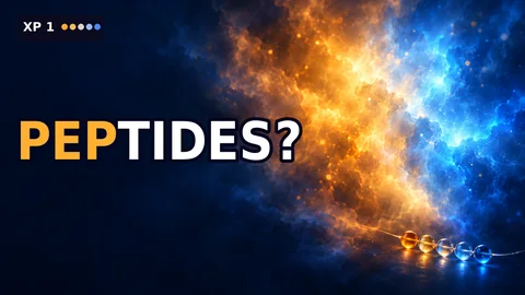 What the Heck Is a Peptide?